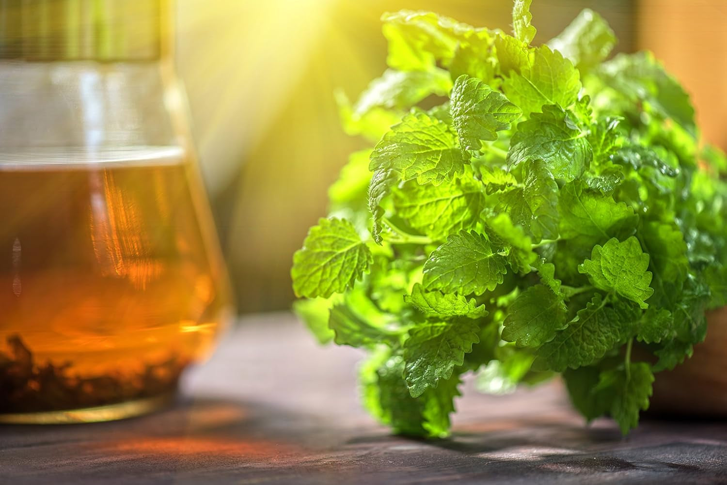 Lemon Balm Tea (Bulk Herbal Tea): Bulk Lemon Balm Leaf (Melissa Officinalis Caffeine Free) - Herbal Balm, Bulk Balm Leaf (Cut and Sifted), 1Lb (16Oz) U.S. Wellness Bulk Tea